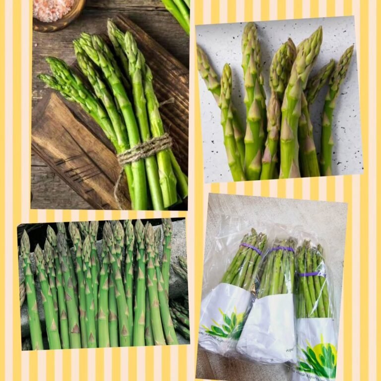 Instagram post from meisimoficialrj. This post is in position 3.